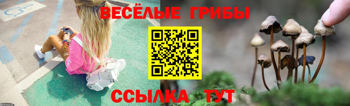 Галлюциногенные грибы GOLDEN TEACHER Ярославль